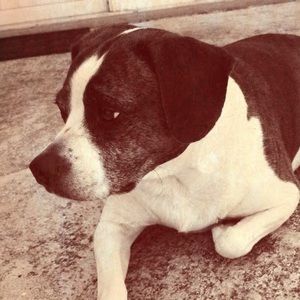 Meet your Posher, Tara